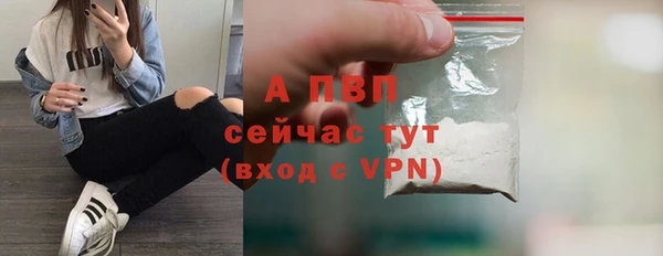 крисы Богородицк