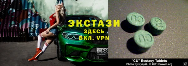 крисы Богородицк