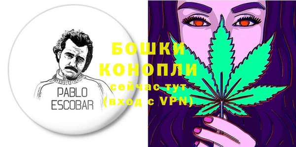 крисы Богородицк