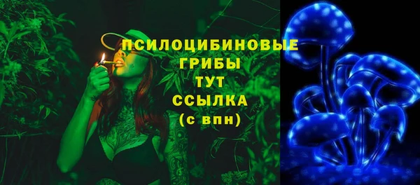 синтетический гашиш Богданович